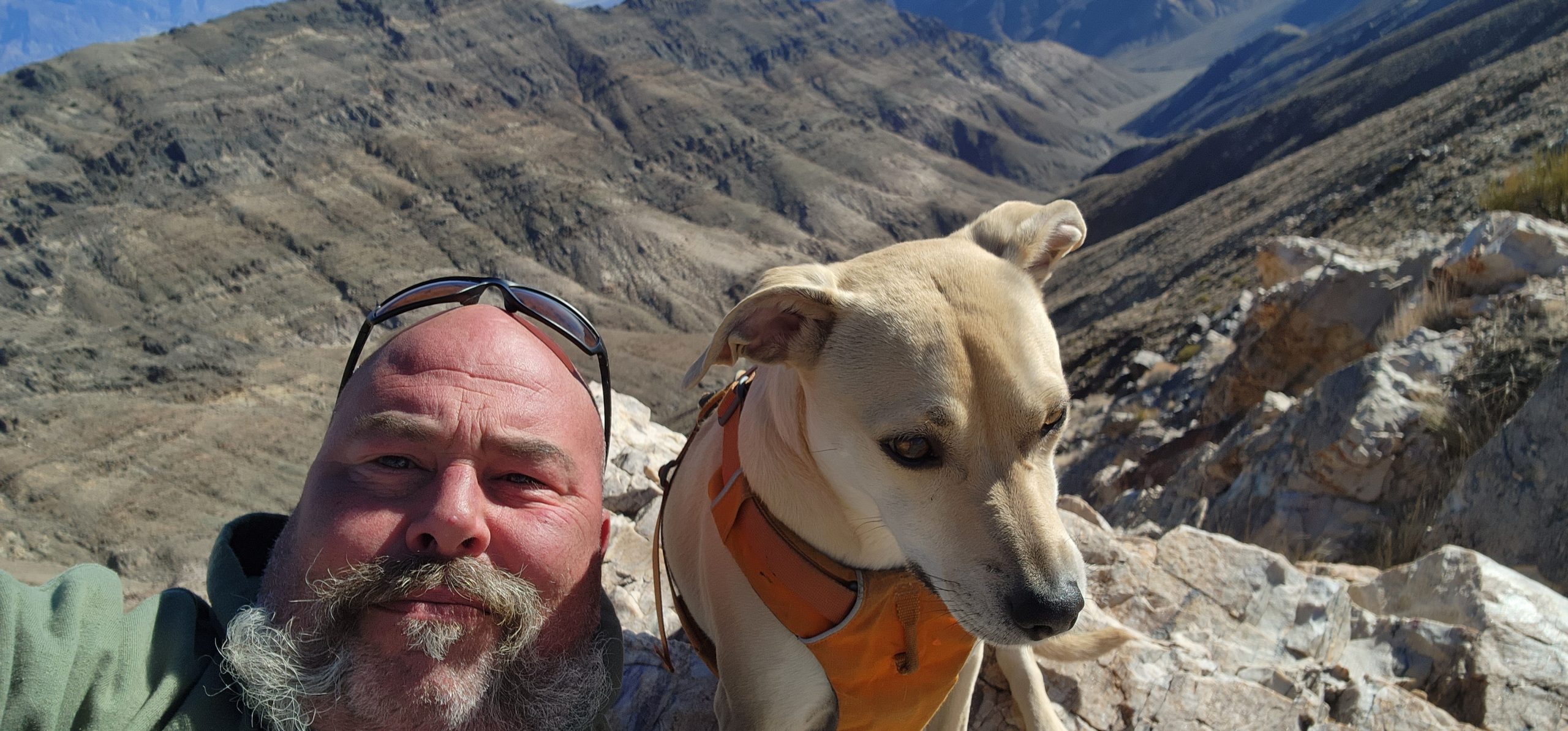 Man N dog Mobile RV Repair LLC. — Mobile RV Repair in Gateway